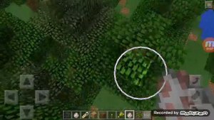 Как получить РАДУЖНЫХ ОВЕЧЕК в Майнкрафте