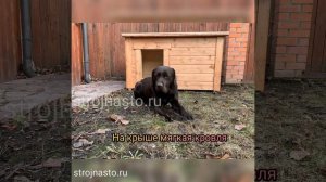 Отзыв strojnasto.ru собачья будка из вагонки для крупной собаки - strojnasto отзывы