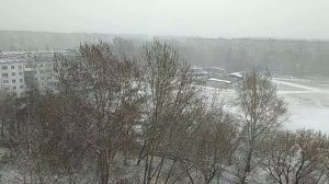 Погода Алтайский край город Заринск 7 мая 7:30