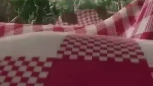 Класс Мама Короткометражный мультик