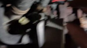 Ford Transit [ 2013 Ford Transit Starter motor removal / location