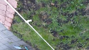 Замена труб летнего водопровода на даче