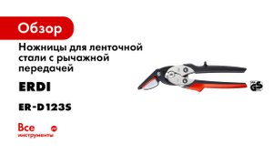 Erdi Безопасные ножницы для резки ленточной стали D123S BESSEY