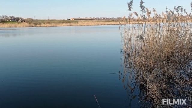 РЫБАЛКА/КЛЁВ ХИТРОГО КАРАСЯ крупным планом на ПОПЛАВОК!!!