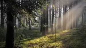 Солнцеворот Аркона Solncevorot Arkona