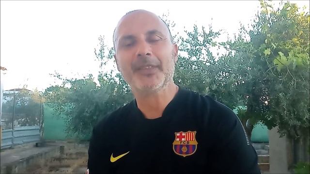 Incubadora casera de huevos смотреть онлайн