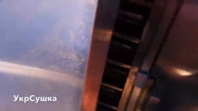 Сушка рябины на ?инфракрасном сушильном оборудовании УкрСушка смотреть онлайн