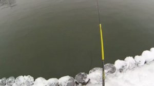 Ловим форель на форелевую пасту, бомбарду с резиной TROUT ZONE