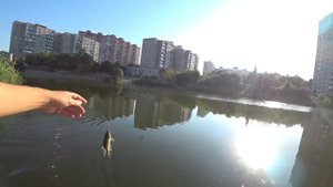 Самая ДЕШЁВАЯ катушка для МОРМЫШИНГА! Black Side Yeti 800 FD
