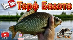 Торфяные Болота. Ловля карася на Болоте. Рыбалка2020г.mp4