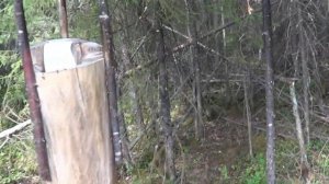 СОЛОНЕЦ ДЛЯ ЛОСЯ. Лоси на солонце. 2020год