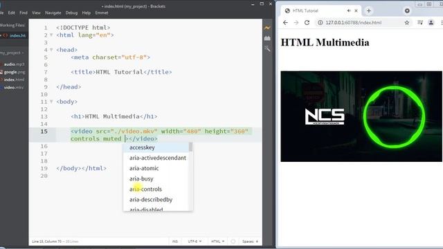 #28 Multimedia in HTML | Video & Audio Element | HTML Tutorial