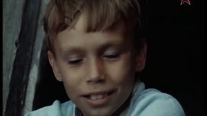 НЕ СТРЕЛЯЙТЕ БЕЛЫХ ЛЕБЕДЕЙ // ЧТЕНИЕ СО СЛЕЗАМИ НА ГЛАЗАХ?