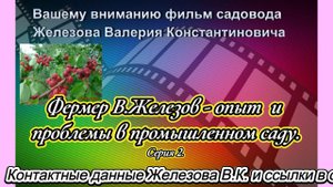 Фермер В.Железов - опыт  и проблемы в промышленном саду. Серия 2.