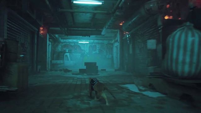 Stray - El gato volador - Explosive Game Ducks смотреть онлайн