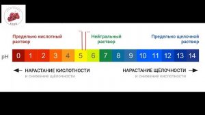 Обработка винограда после цветения ?