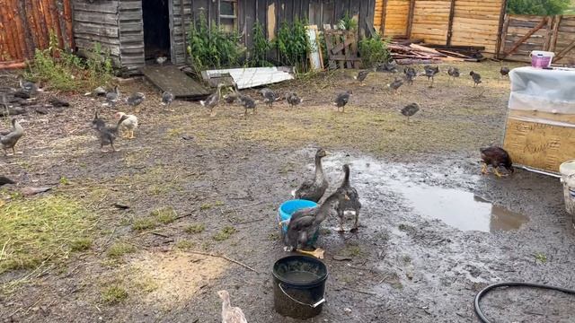 29-06-2023 смотреть онлайн