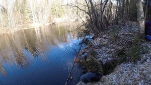 Удачная рыбалка на реке Оредеж