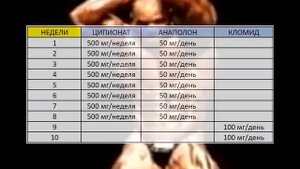 КУРС "К ЛЕТУ" ТЕСТОСТЕРОН ЦИПИОНАТ + АНАПОЛОН