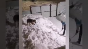 Снегоуборочная машина ?