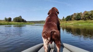 Испытания мотора. Река Москва в районе поселка Марс. 25 августа 2021