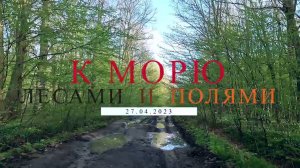К морю лесами и полями.