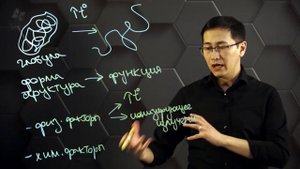 Денатурация и ренатурация белков. 10 класс.