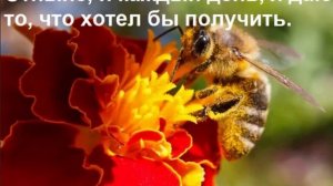 9 День
Медитация: Изобилие и Закон Дарения