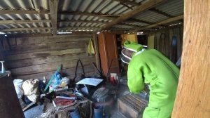 Сдали металлолом за 2 года! На что хватило! Поймали рой пчёл. Крутая самоделка для мойки ковров.