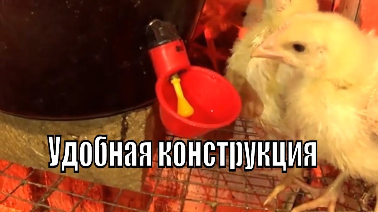 Новые поилки для бройлеров Чашечные поилки с установкой на ведро