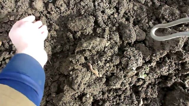 привет лена мороза спасибо за чуфа :)))) НА ДАЧЕ посадить ЧУФА 28 03 2018 смотреть онлайн