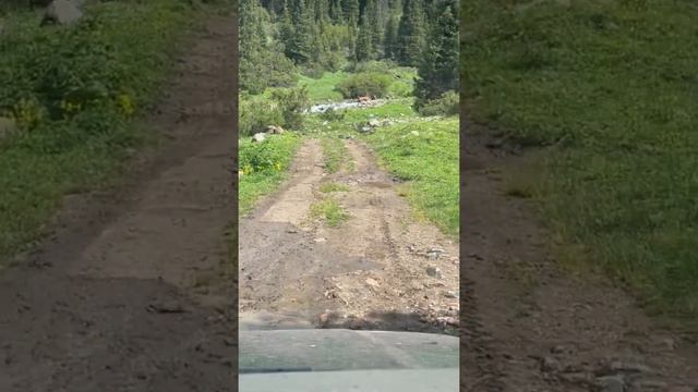 Toyota Land Cruiser 100 в горах Казахстана. 2700 meters above sea level. Kazakhstan. Summer 2022.