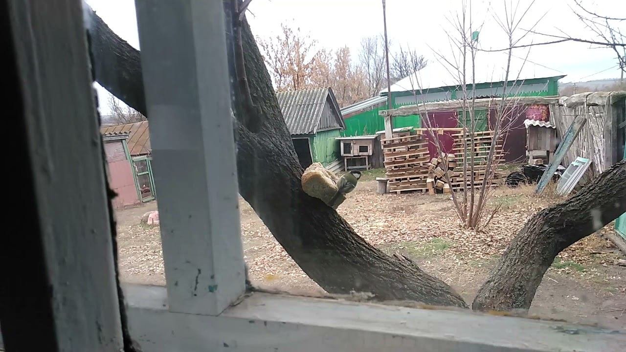 Синица и хлебушек
