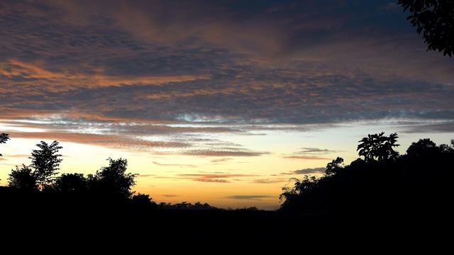 Звуки ночной природы. Расслабляющее пение птиц смотреть онлайн