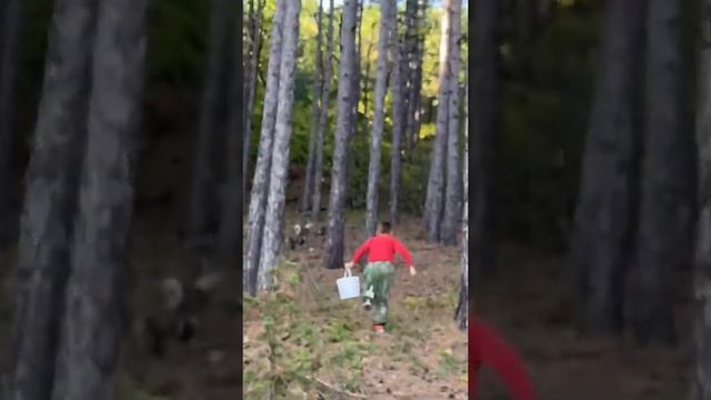 Рассвет. Алушта. Пешие походы в горы. Сбор грибов. Крымская осень. Отдых в Крыму смотреть онлайн