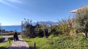 ТУРЦИЯ. Новости Турции. Заморозки в Турции. Падение лиры. турция 2022 . турция сегодня