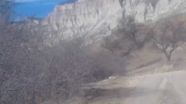 Облепиховая роща смотреть онлайн