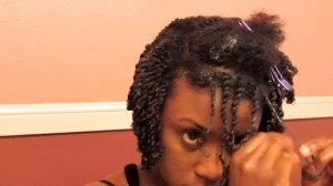 Semi Mini Twists Tutorial | Natural Hair