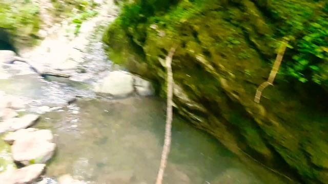 Крабовое Ущелье Изумрудный Каньон Сказка в лесных джунглях Лазаревское Сочи май 2022 смотреть онлайн