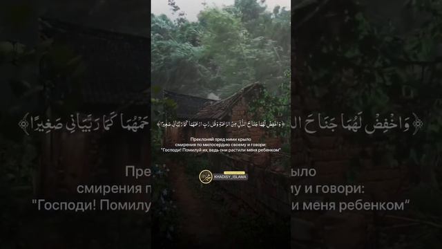 Забота матери к ребёнку #ислам #хадис #религия #вера #allah #дочь #мать