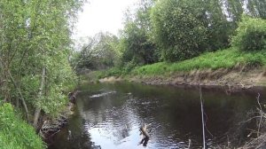 Очередные попытки ловли рыбы на речке Морье