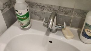 Пересадки комнатных растений в кокосовый субстрат, разбор теплички