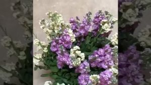 Дети Максима Галкина поздравили его с днем рождения