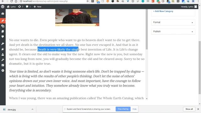 medium editor for wordpress смотреть онлайн