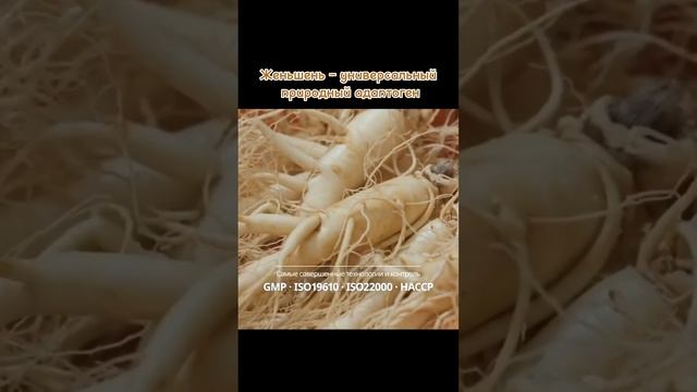 Корейский красный женьшень #atomy #beauty #атоми #корейскиепродукты #бад #здоровье смотреть онлайн