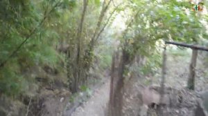 Путешествие в Абхазию на машине из Москвы 1ч. Travel to Abkhazia by car from Moscow Part 1.