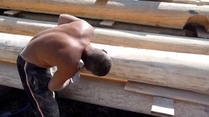 Шлифовка сруба