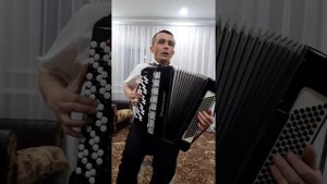 Женщина воздух (кавер на баяне)
