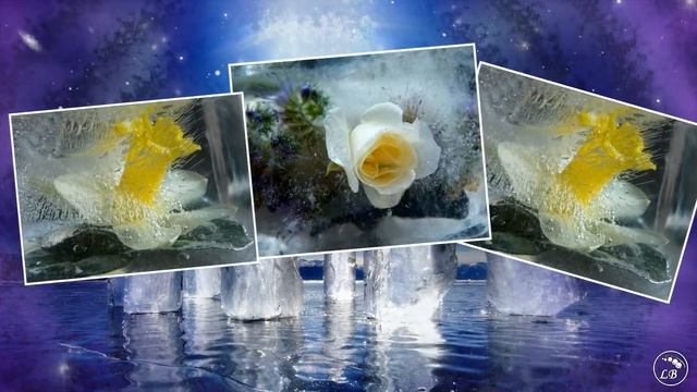 Цветы и лёд// Ледово-цветочная фантазия// Видео для хорошего настроения// смотреть онлайн