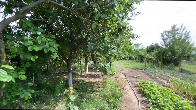 Минеральные Воды деревня видео вжух